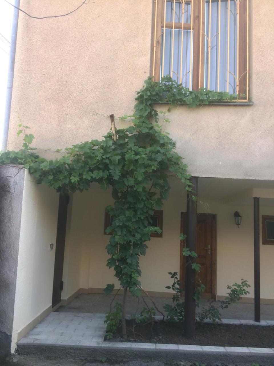 Guest House Kartuli Suli Telavi Exterior photo